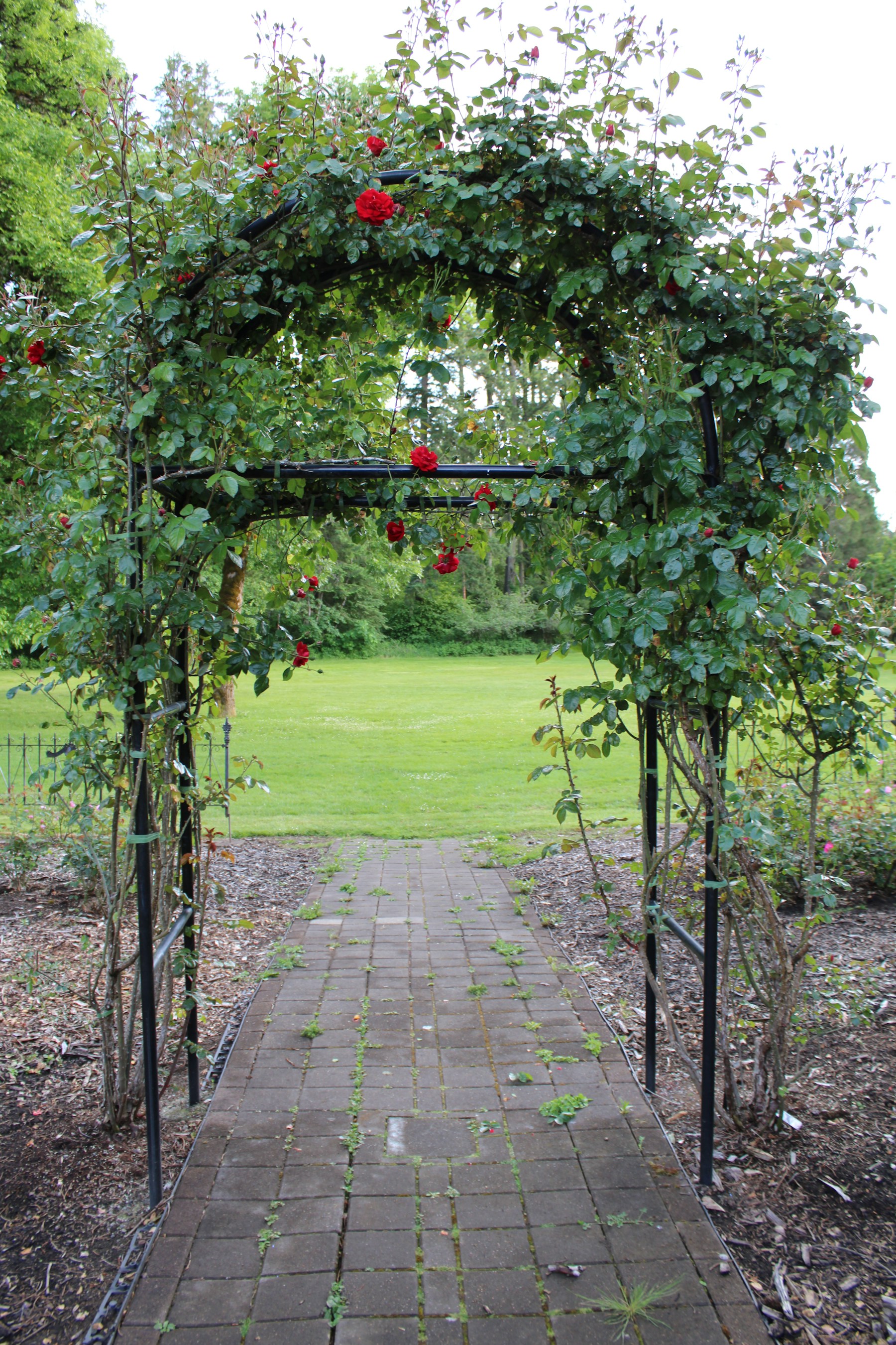 A climbing rose arch framing a lawn and brick garden path